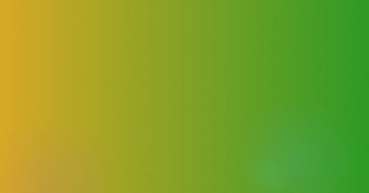 风雨同路测评：家常版避坑